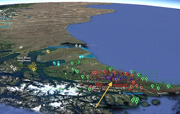 beaver expansion markers by Jean Thie