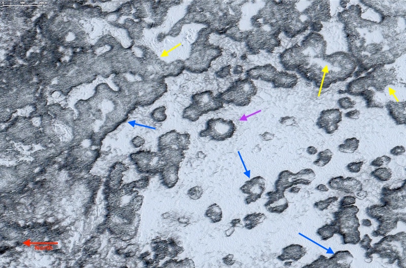 peat plateaus and palsas melting