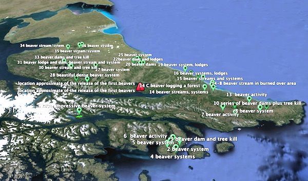beaver expansion markers 1960-1970 by Jean Thie