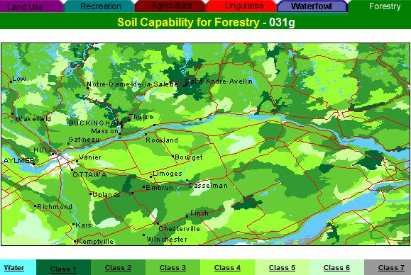 forest capability map