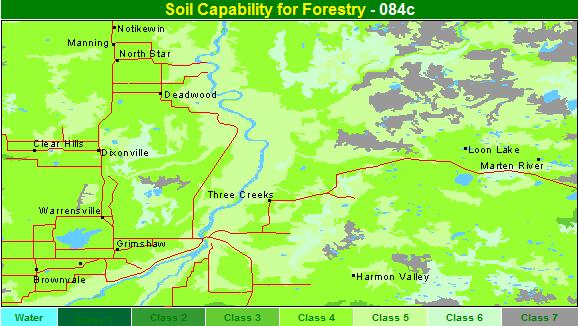 forest capability map